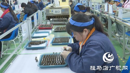 泌陽銘普電子 以科技為引擎，沖刺首季開門紅，引領通信技術新浪潮